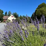 Liabaquet * Sarlande
